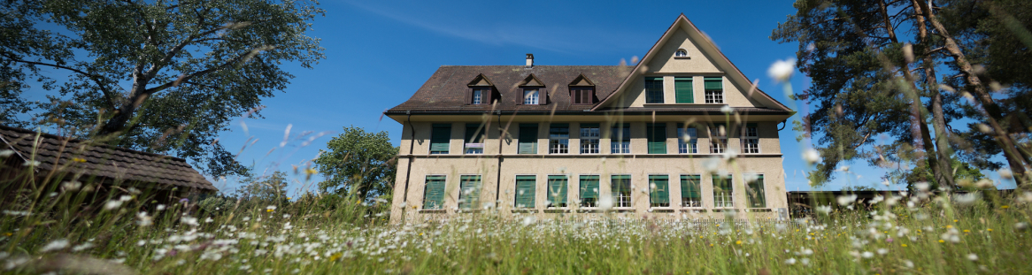 Sekundarschule Büelwiesen